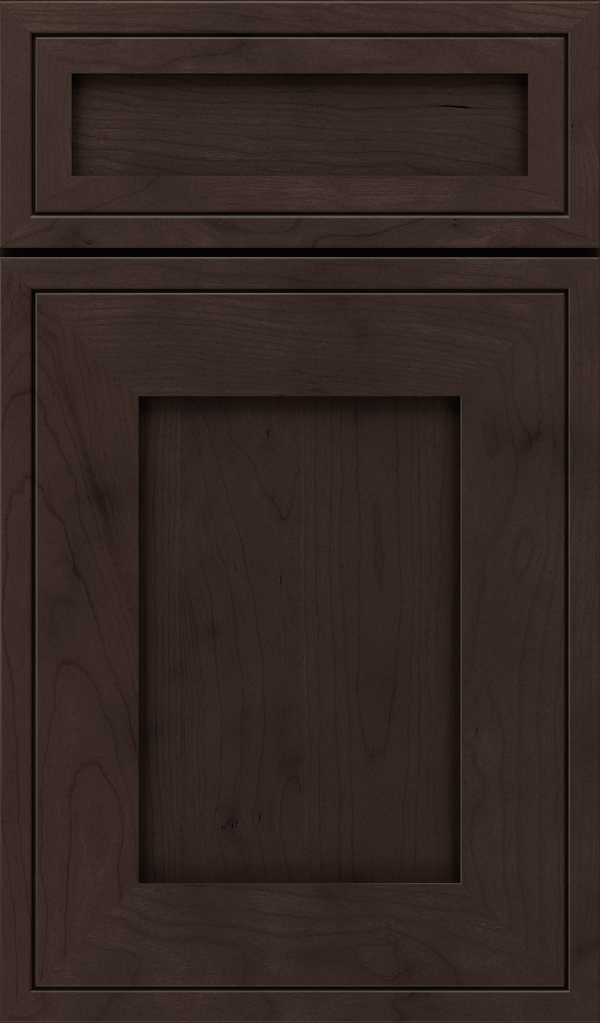 airedale_5pc_cherry_shaker_style_cabinet_door_coyote