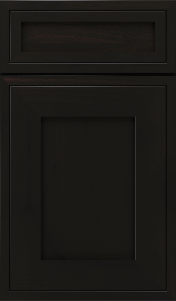 airedale_5pc_rustic_alder_shaker_style_cabinet_door_sumatra