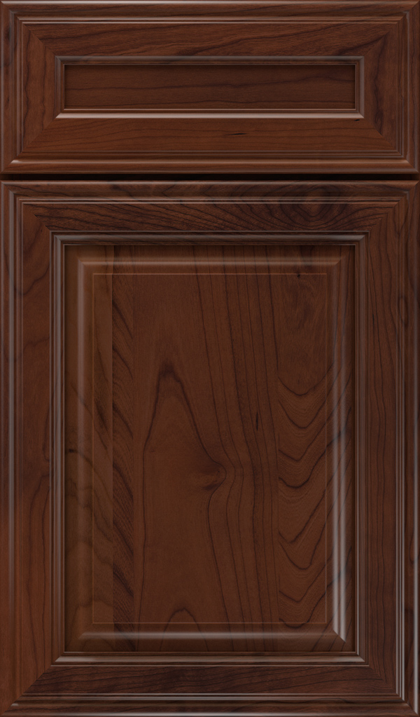 galleria_5pc_cherry_raised_panel_cabinet_door_sepia