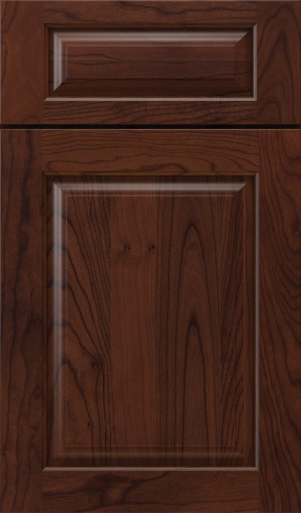 plaza_5pc_cherry_raised_panel_cabinet_door_sepia